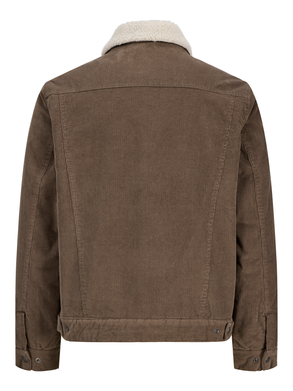 pack_shot-back